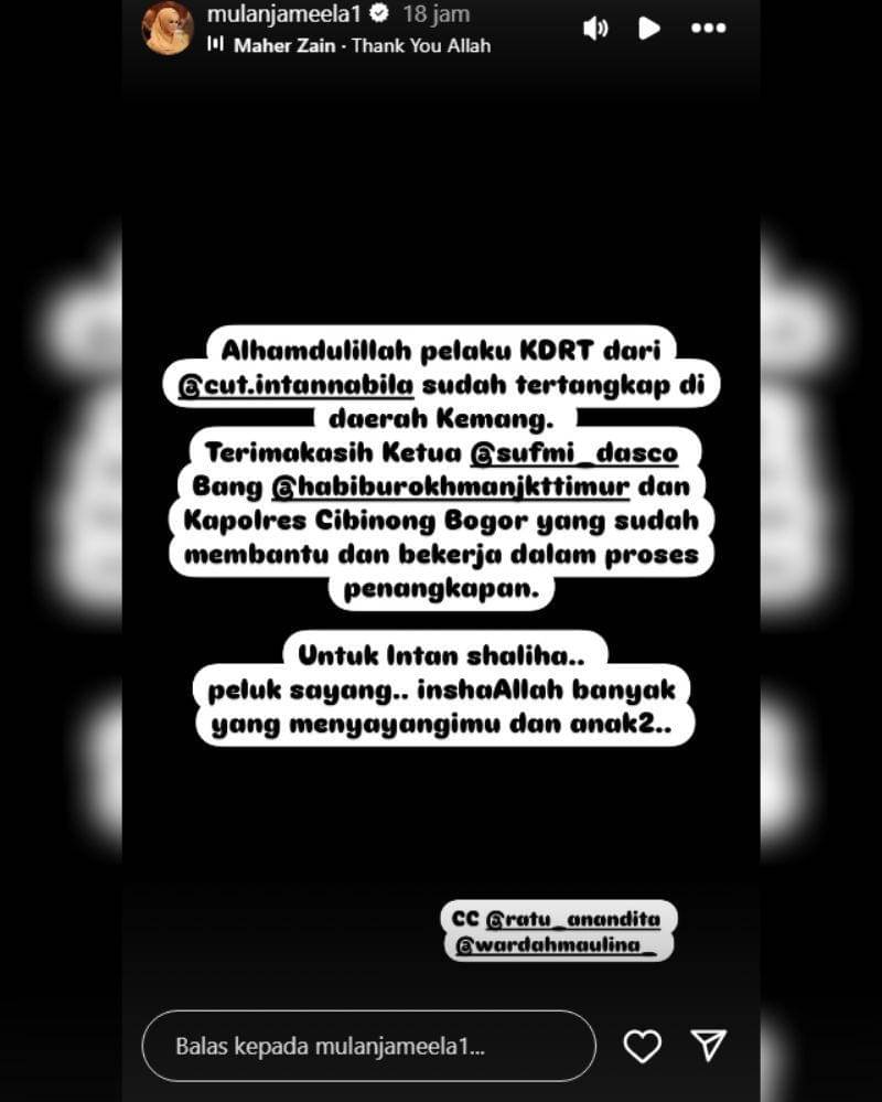 Instagram.com/mulanjameela1